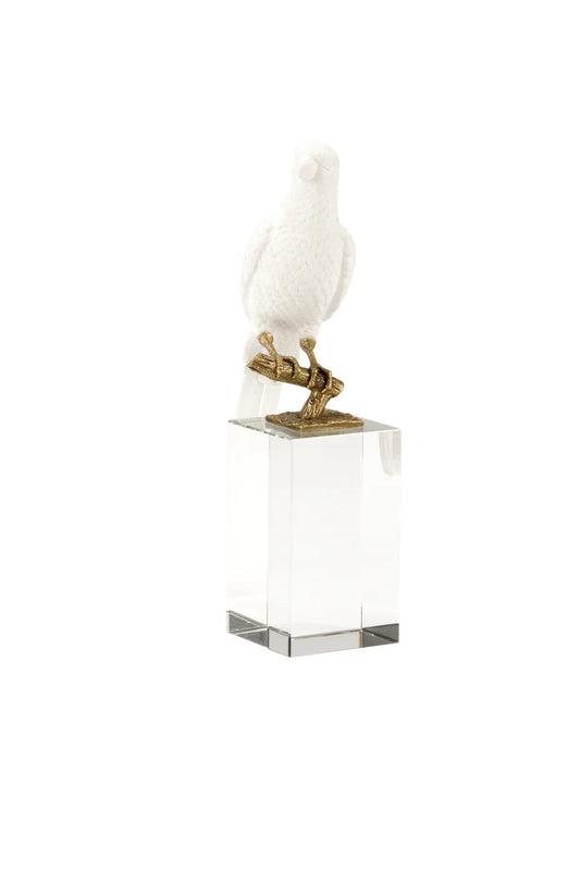 PARROT ON CRYSTAL SQUARE